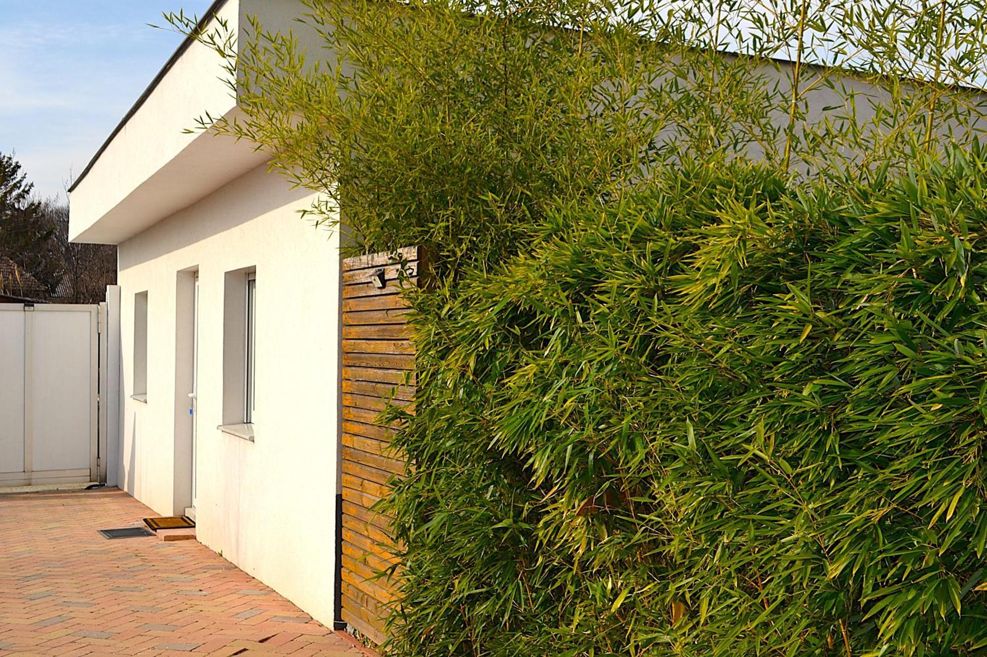 Ferienwohnungen Halbturn Exterior foto